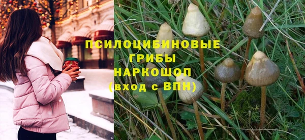 ПСИЛОЦИБИНОВЫЕ ГРИБЫ Осташков