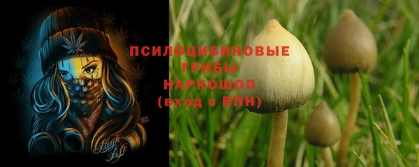 тгк Осинники