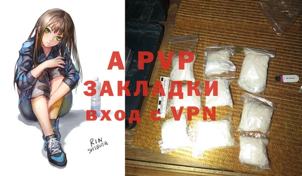 ПСИЛОЦИБИНОВЫЕ ГРИБЫ Осташков