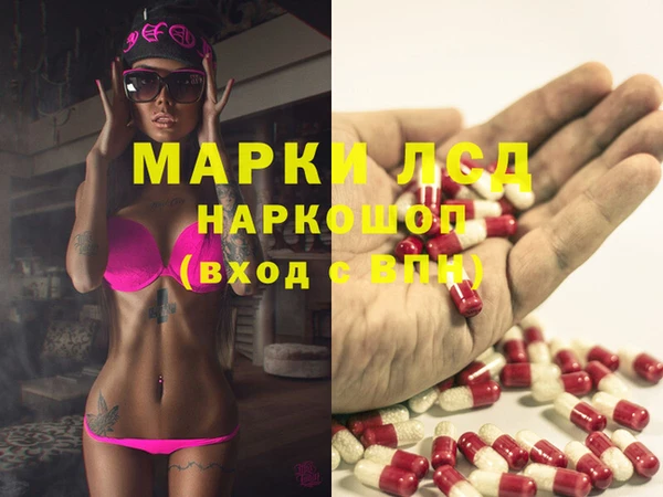 ПСИЛОЦИБИНОВЫЕ ГРИБЫ Осташков
