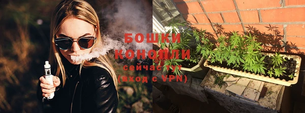 ПСИЛОЦИБИНОВЫЕ ГРИБЫ Осташков