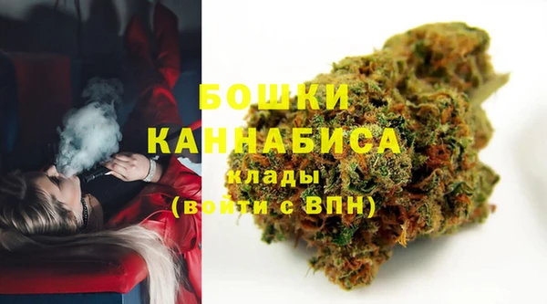 ПСИЛОЦИБИНОВЫЕ ГРИБЫ Осташков