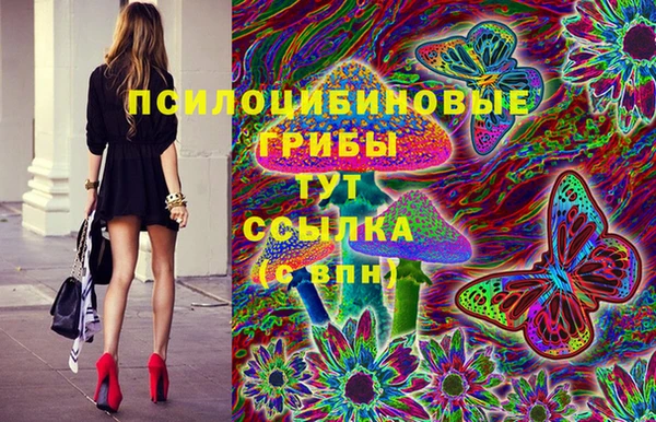 ПСИЛОЦИБИНОВЫЕ ГРИБЫ Осташков