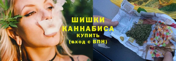 ПСИЛОЦИБИНОВЫЕ ГРИБЫ Осташков