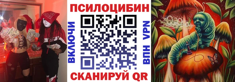 Псилоцибиновые грибы Psilocybe  shop телеграм  Спас-Клепики  продажа наркотиков 